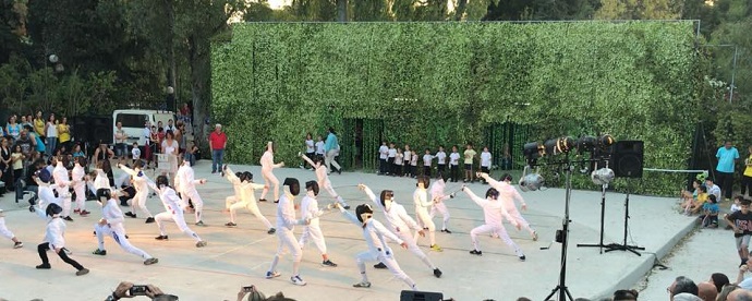 fencing