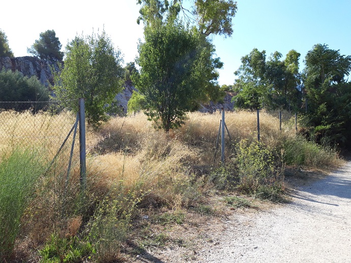 xeradamarib