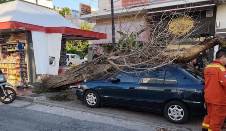 ΕΚΤΑΚΤΟ! Δέντρο καταπλάκωσε αυτοκίνητο σε κεντρικό δρόμο του Χολαργού